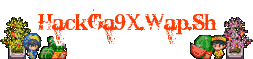  HackGa9x.Wap.Sh